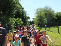 PIQUENIQUE DE CONFRATERNIZAÇÃO