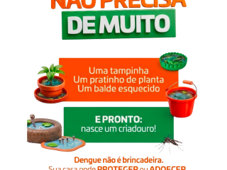 Combate à dengue começa dentro de casa e em pequenos detalhes