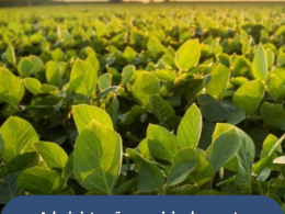 Administração municipal garante mais R$ 250 mil para fortalecer o apoio aos agricultores