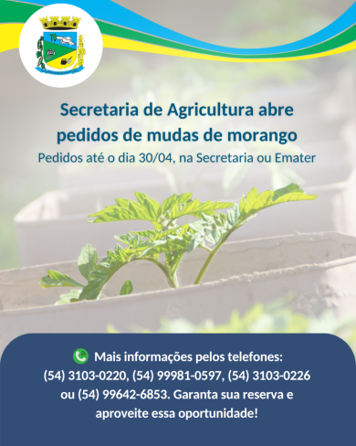 Secretaria de Agricultura abre pedidos de mudas de morango